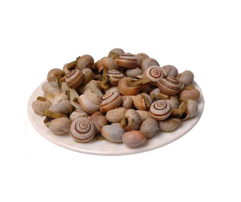 Snail in Calda (1 kg bucket)
